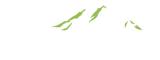 Riva Dermatology Logo